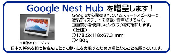 Google Nest Hub