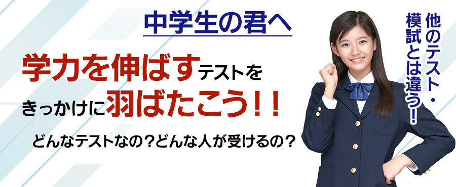 全国統一中学生テスト