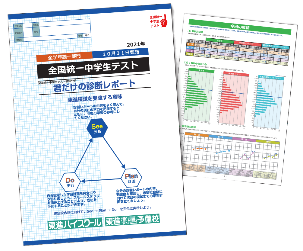 診断レポート